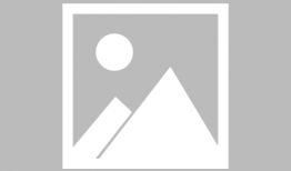 动漫网在线观看,畅游动漫世界的奇幻之旅