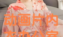 内衣办公室动漫观看,职场激情与职场智慧交织的动漫故事