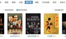 9国产精品视频,光影交织，情感共鸣的视听盛宴