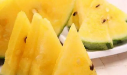 爆料中国吃瓜视频大全,热门事件背后的娱乐狂欢